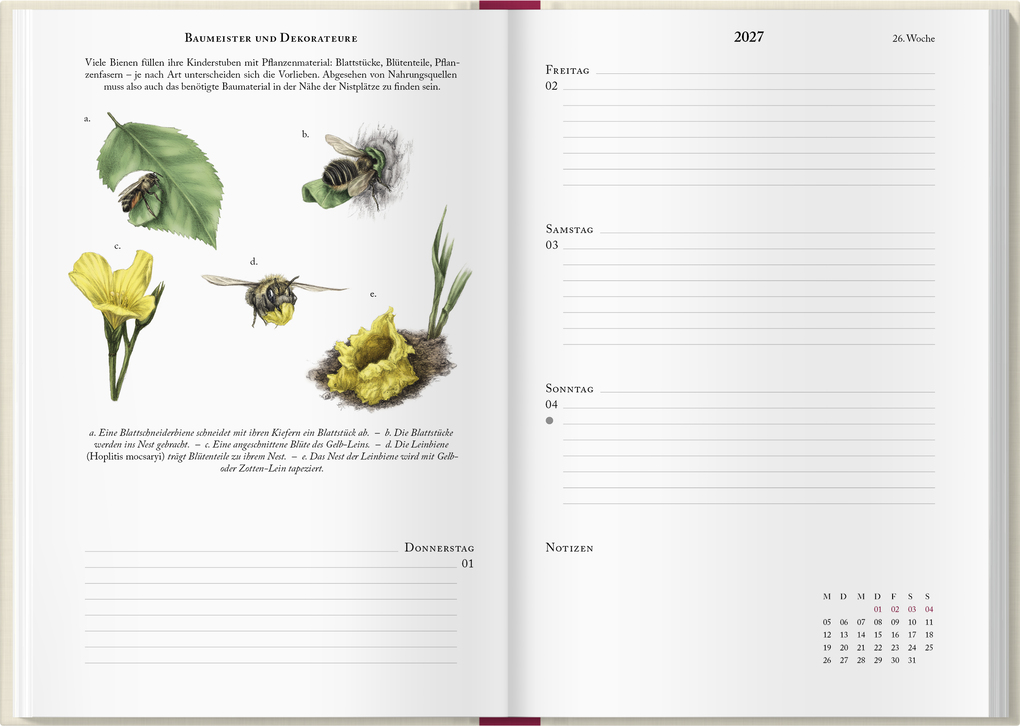 Weitere Ansicht: Bienenkalender 2027 | Lena Zeise