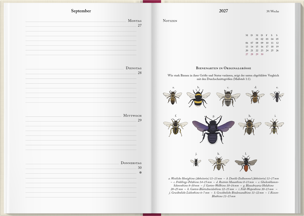 Weitere Ansicht: Bienenkalender 2027 | Lena Zeise