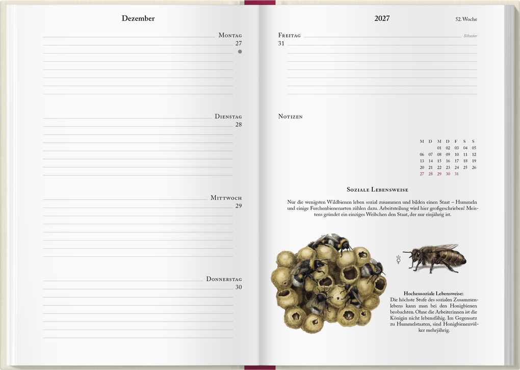 Weitere Ansicht: Bienenkalender 2027 | Lena Zeise