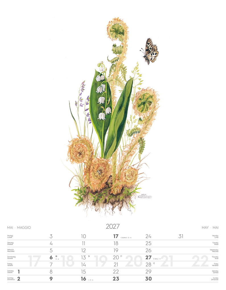 Weitere Ansicht: Alpenblumen-Aquarelle Kalender 2027