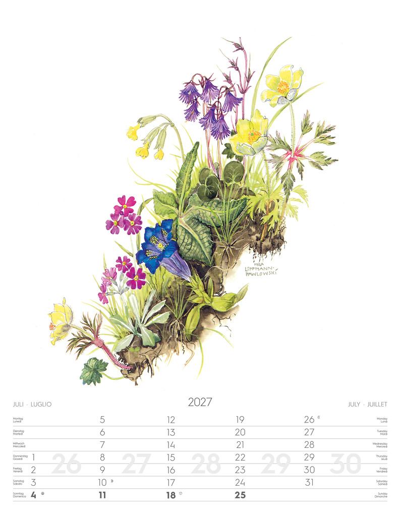 Weitere Ansicht: Alpenblumen-Aquarelle Kalender 2027