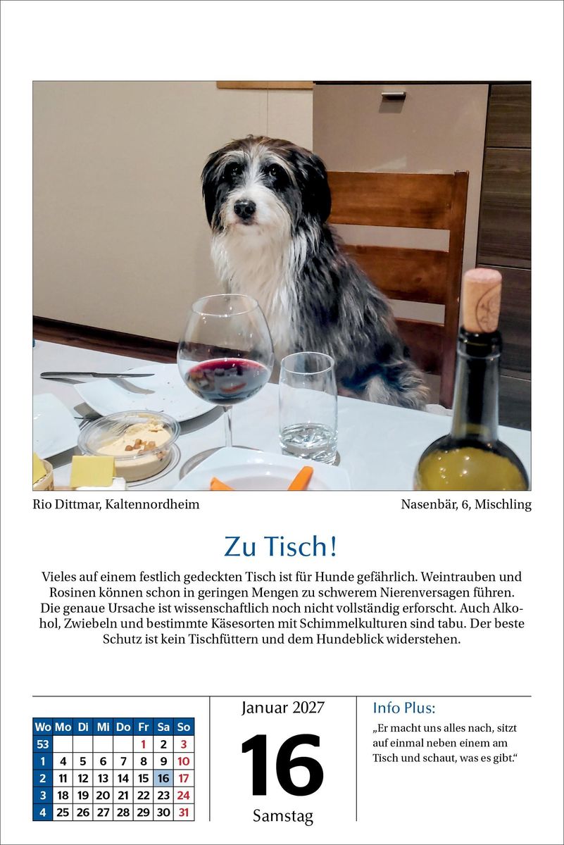 Weitere Ansicht: Hunde Tageskalender 2027