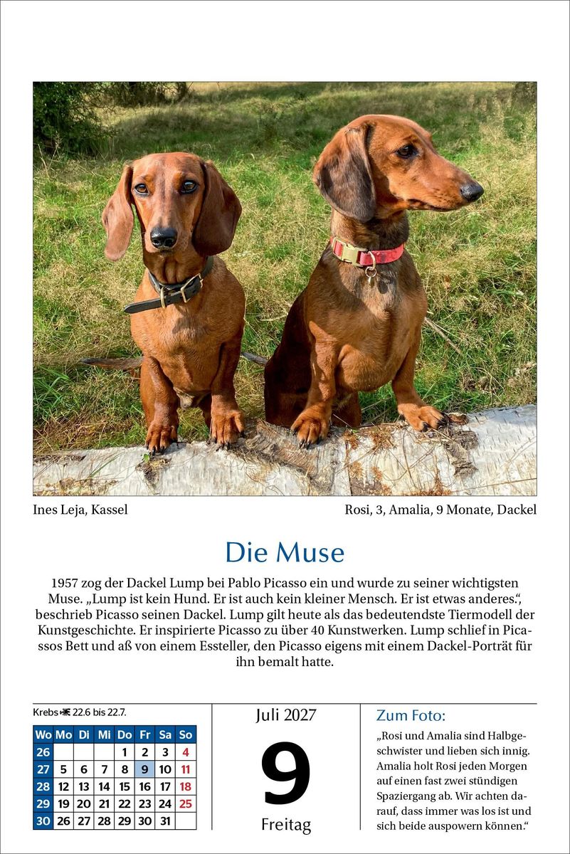 Weitere Ansicht: Hunde Tageskalender 2027