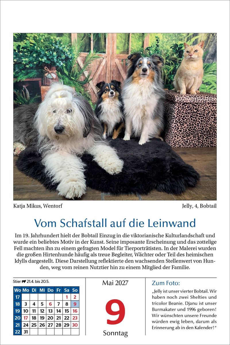 Weitere Ansicht: Hunde Tageskalender 2027