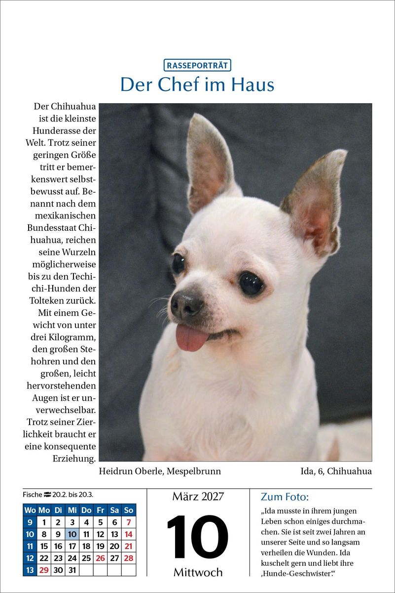 Weitere Ansicht: Hunde Tageskalender 2027