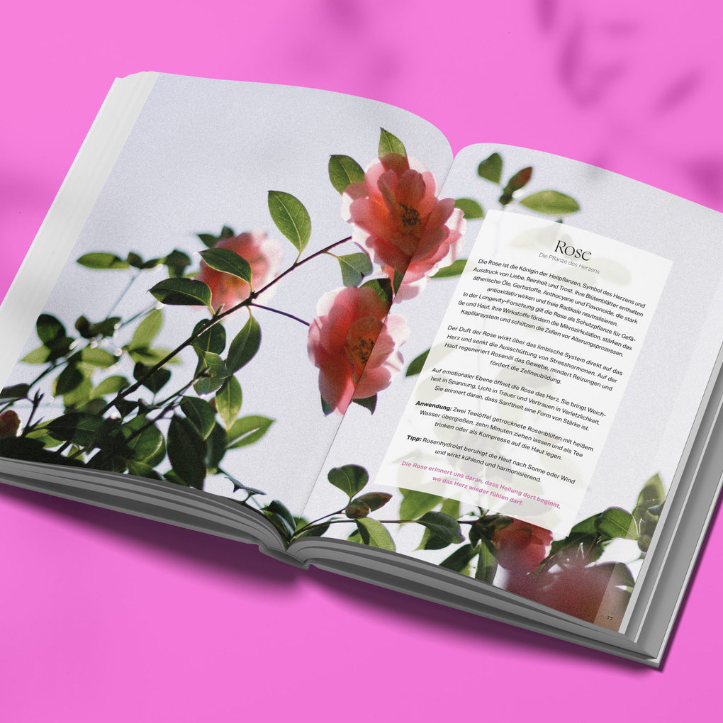 Weitere Ansicht: Forever Beautiful | Susanne Abbassian Korasani