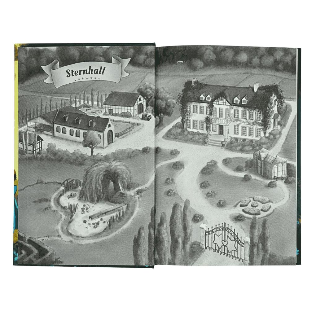Weitere Ansicht: Die Flügelpferde von Sternhall (2). Ein glitzerndes Geheimnis | Ina Brandt