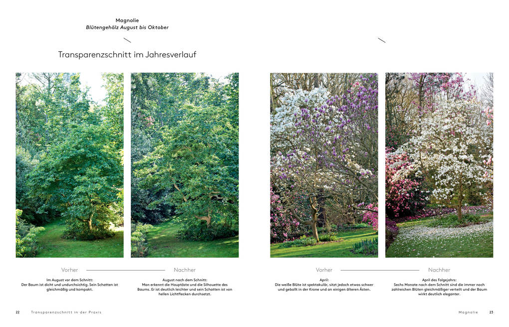 Weitere Ansicht: Transparenzschnitt | Dominique Cousin