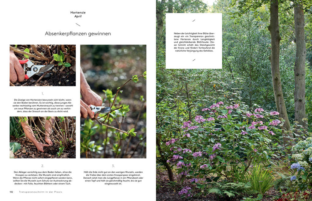 Weitere Ansicht: Transparenzschnitt | Dominique Cousin