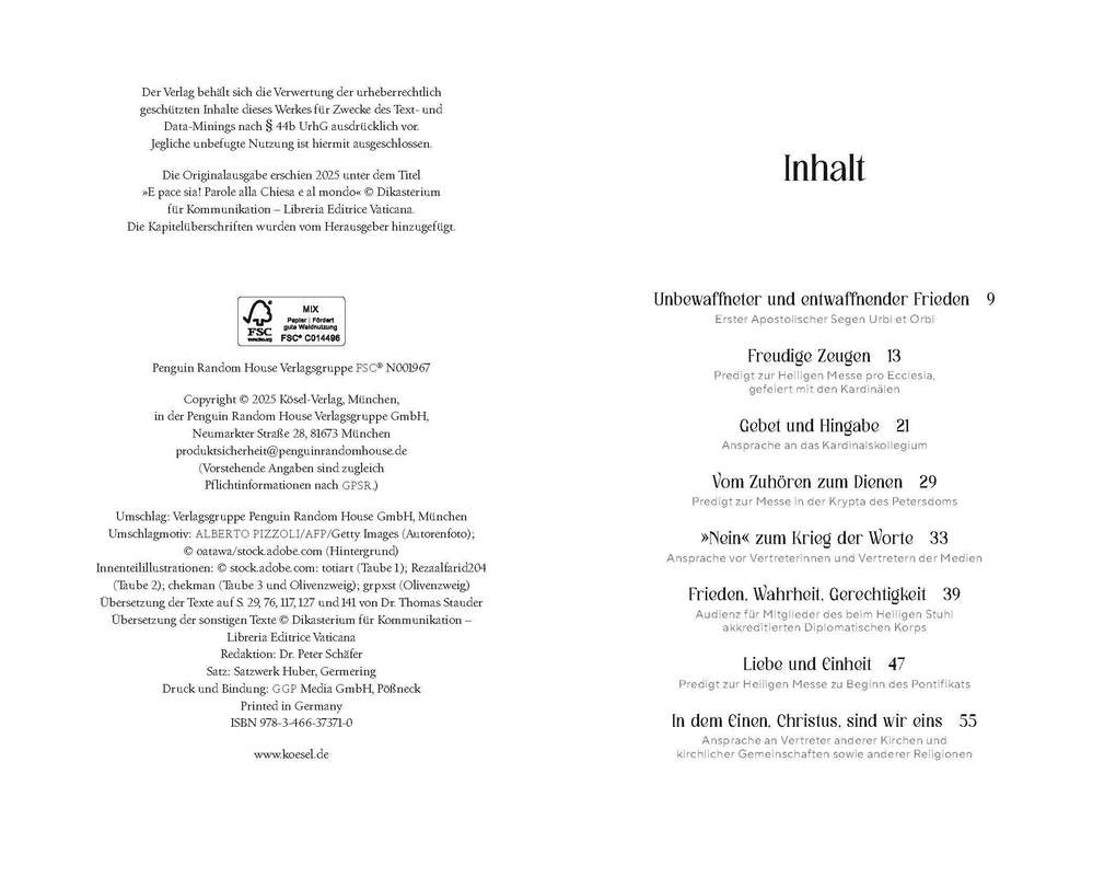 Weitere Ansicht: Frieden! | Papst Leo XIV.