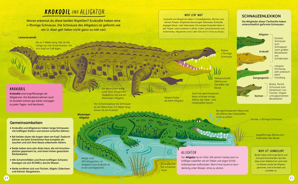Weitere Ansicht: Wo ist denn da der Unterschied?