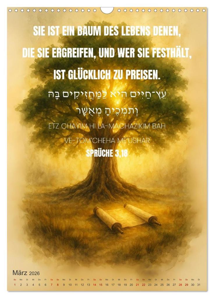 Weitere Ansicht: Weisheit, Licht und Leben - Jüdische Inspiration durchs Jahr (Wandkalender 2026 DIN A3 hoch), CALVENDO Monatskalender | HebrewArtDesigns Marena Camadini, Calvendo