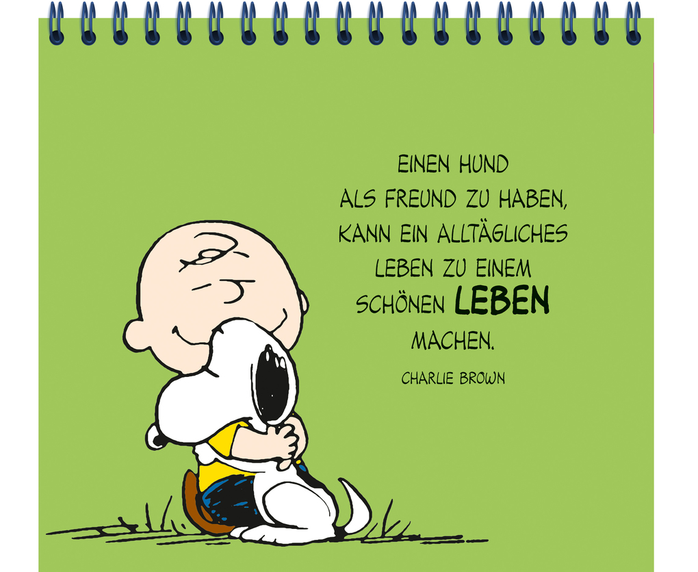 Weitere Ansicht: Peanuts: Freunde wie wir! - Sorgenfrei durch dick und dünn