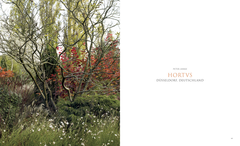 Weitere Ansicht: Pastorale Gärten | Clare Foster