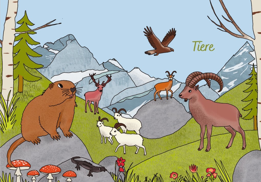 Weitere Ansicht: Schweiz for kids | Carolin Jenkner-Kruel