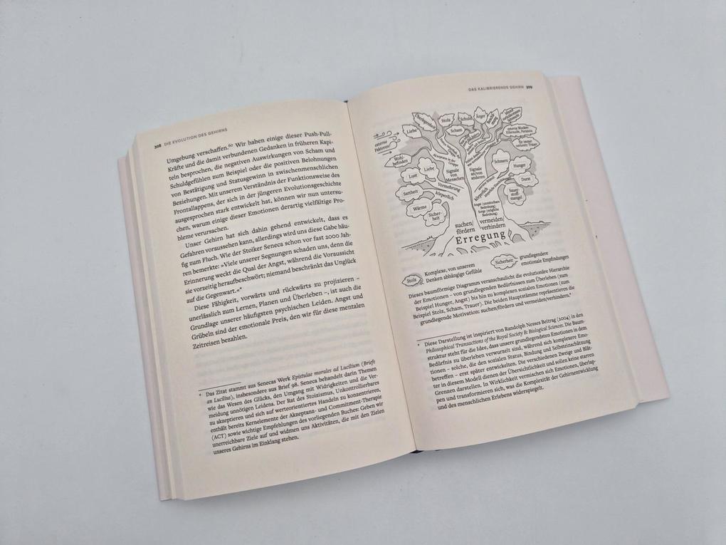 Weitere Ansicht: Die Evolution des Gehirns | Paul Goldsmith