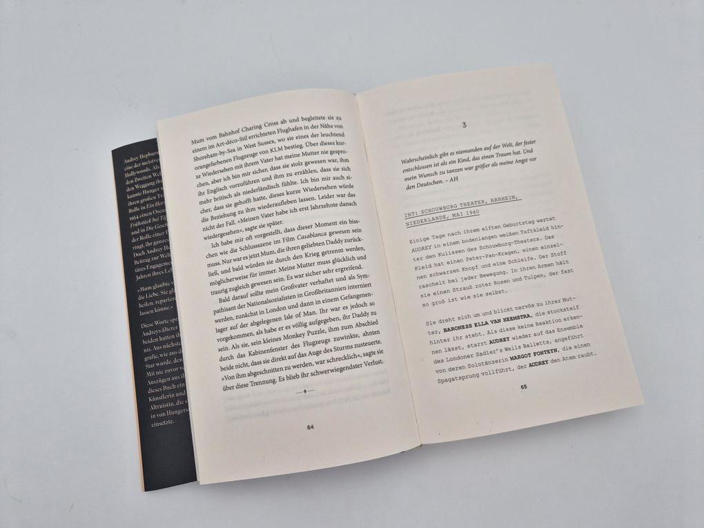 Weitere Ansicht: Audrey | Sean Hepburn Ferrer, Wendy Holden