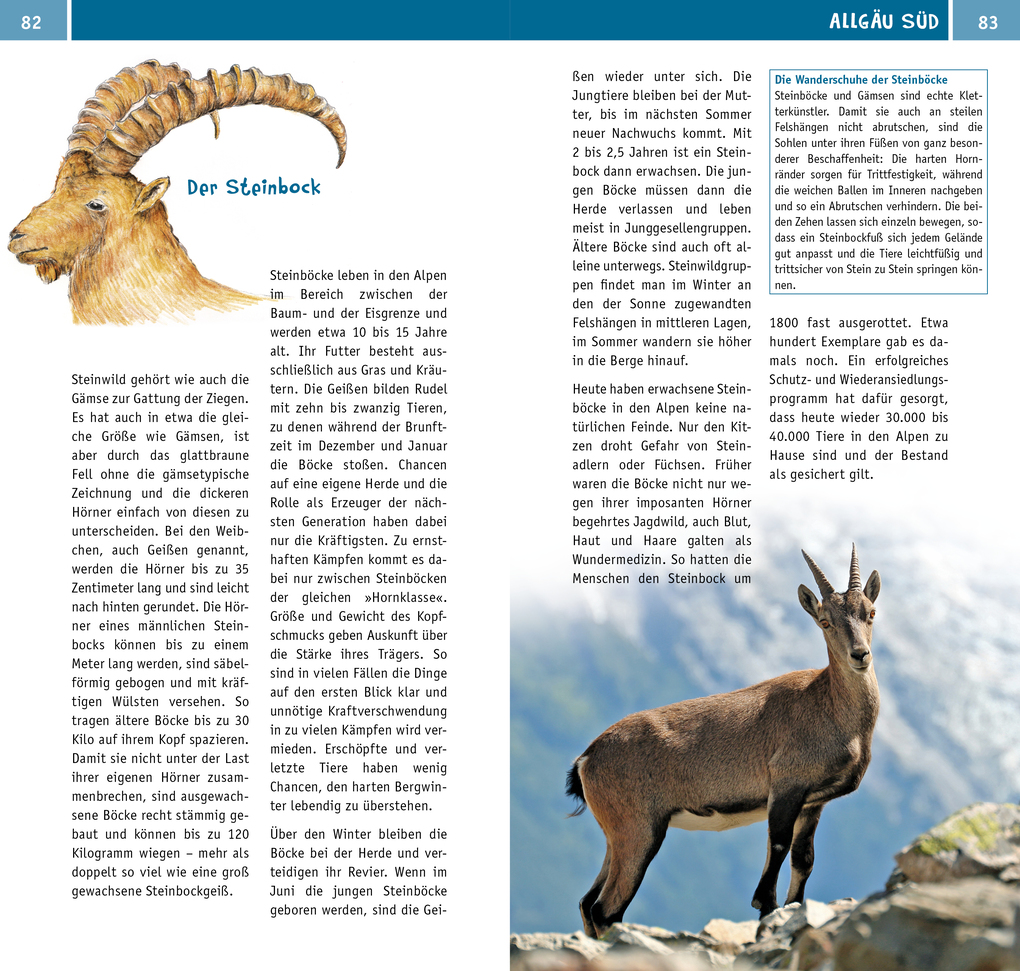 Weitere Ansicht: Naturzeit mit Kindern: Allgäu | Stefanie Holtkamp, Eva Böglmüller
