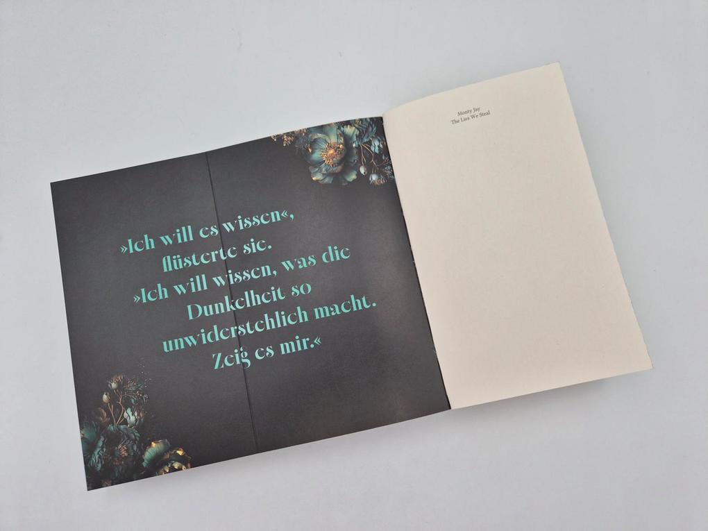 Weitere Ansicht: The Lies we steal | Monty Jay