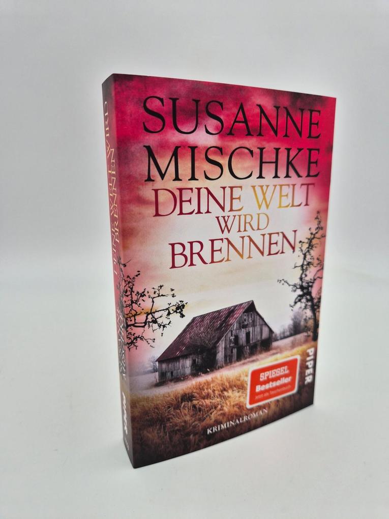 Weitere Ansicht: Deine Welt wird brennen | Susanne Mischke