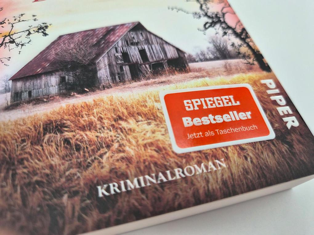 Weitere Ansicht: Deine Welt wird brennen | Susanne Mischke