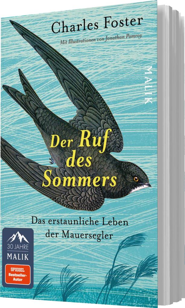 Weitere Ansicht: Der Ruf des Sommers | Charles Foster