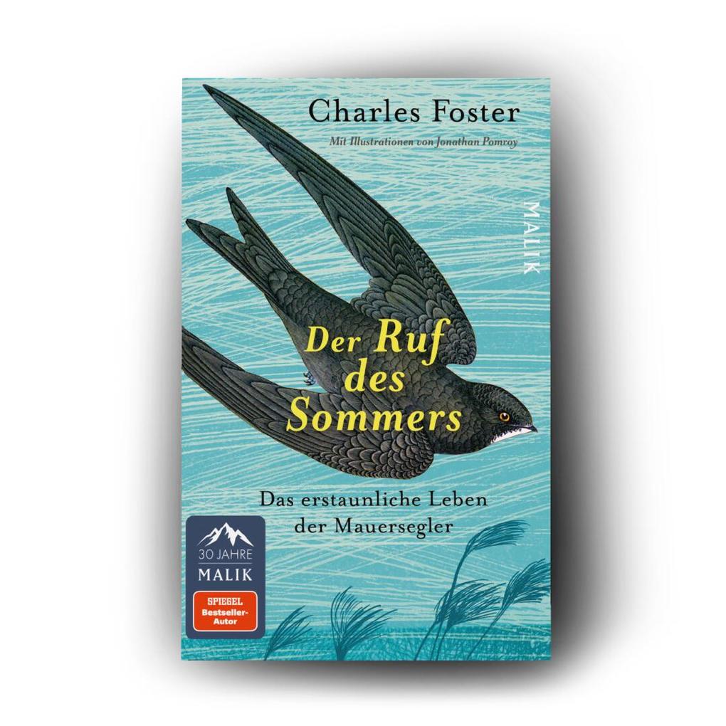Weitere Ansicht: Der Ruf des Sommers | Charles Foster