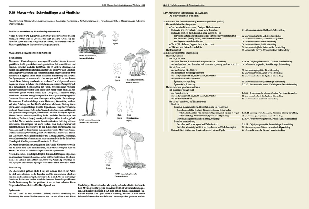 Weitere Ansicht: Pilze Mitteleuropas | Rudolf Winkler, Gaby Keller, Margrith Montalta-Graf