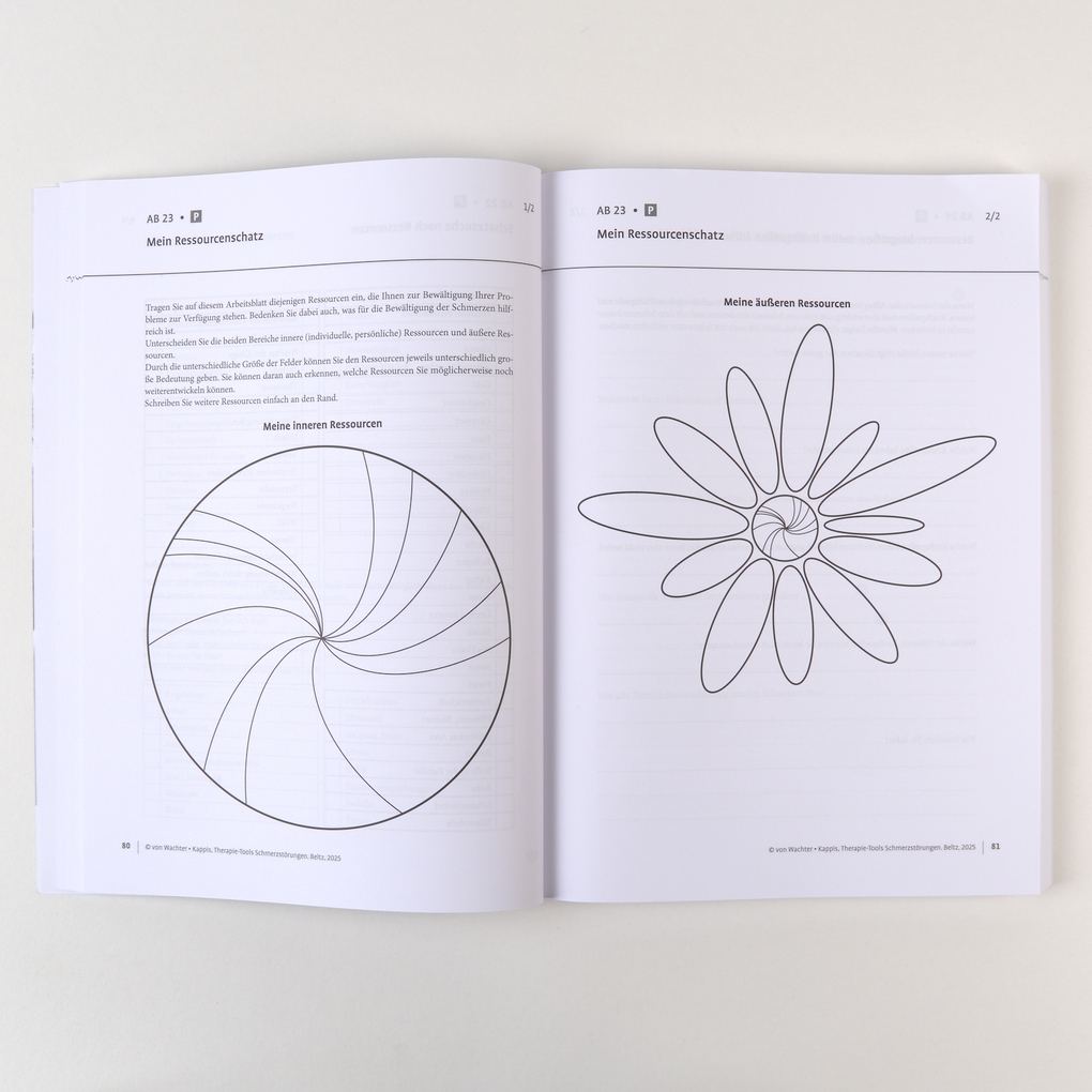 Weitere Ansicht: Therapie-Tools Schmerzstörungen | Martin von Wachter, Bernd Kappis