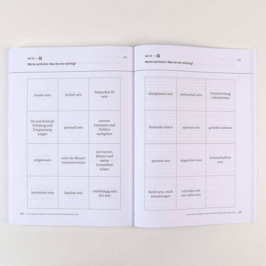 Weitere Ansicht: Therapie-Tools Schmerzstörungen | Martin von Wachter, Bernd Kappis