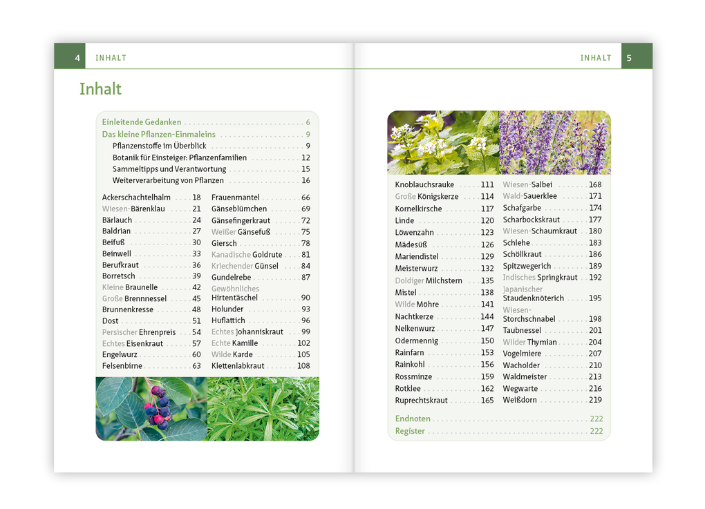 Weitere Ansicht: Essbare Heilkräuter und Wildpflanzen. Kompakt-Ratgeber | Philip Kunisch