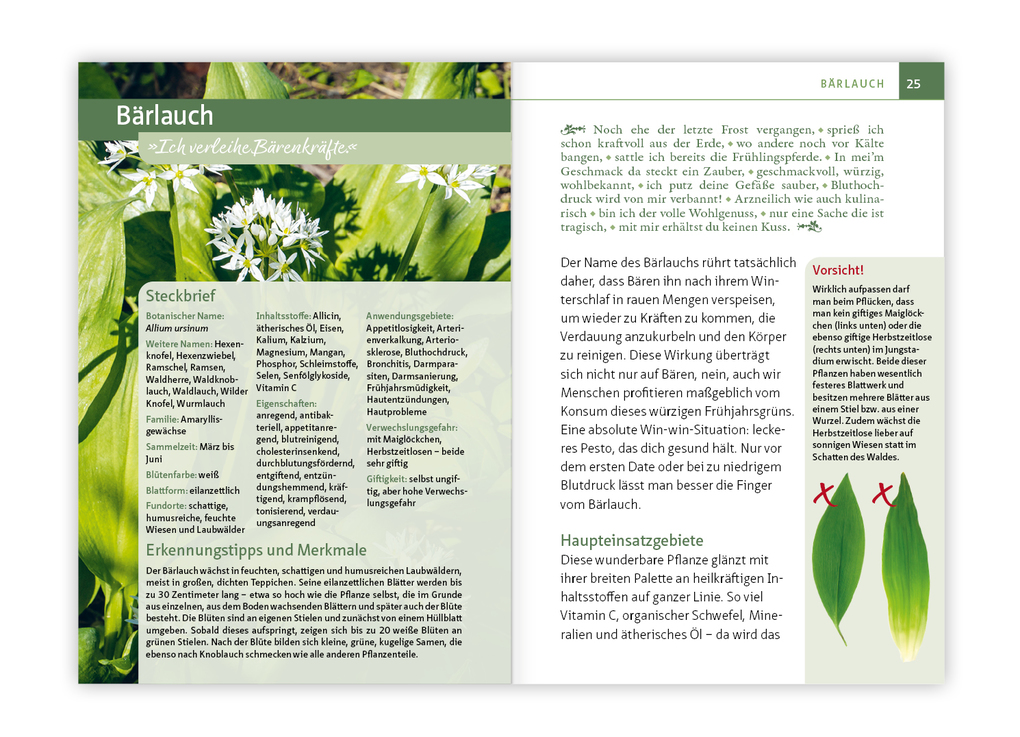 Weitere Ansicht: Essbare Heilkräuter und Wildpflanzen. Kompakt-Ratgeber | Philip Kunisch