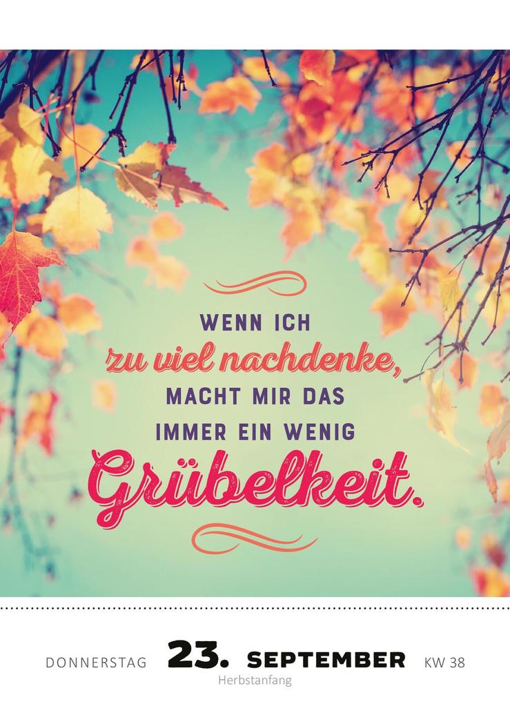 Weitere Ansicht: Abreißkalender Kann mir bitte jemand ein Bällebad einlassen? 2027