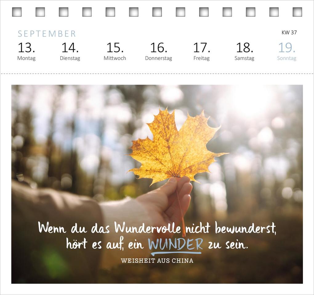 Weitere Ansicht: Postkartenkalender Ich wünsch dir was 2027