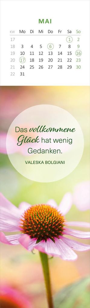 Weitere Ansicht: Lesezeichenkalender Glücksmomente für die Seele 2027