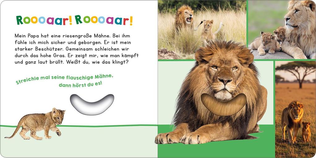 Weitere Ansicht: Hör mal rein, wer kann das sein? - Mein Papa