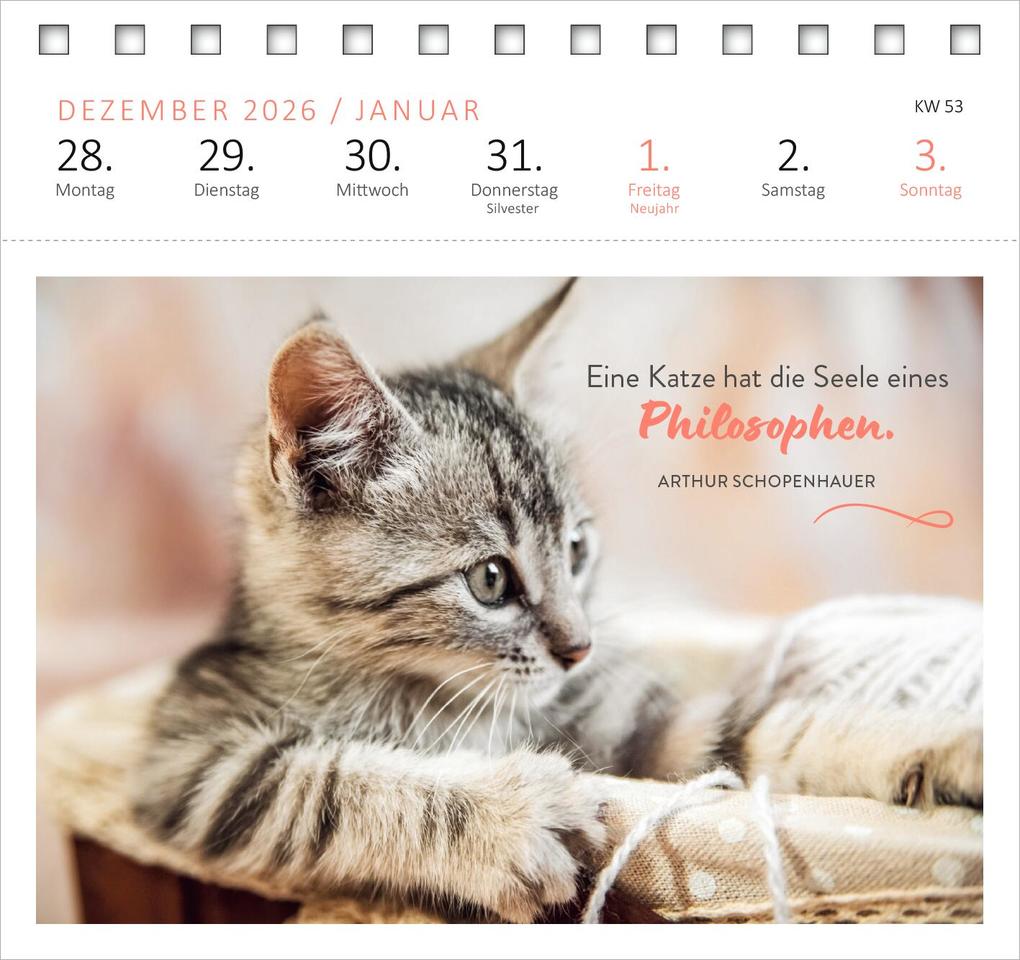 Weitere Ansicht: Postkartenkalender Katzenweisheiten 2027