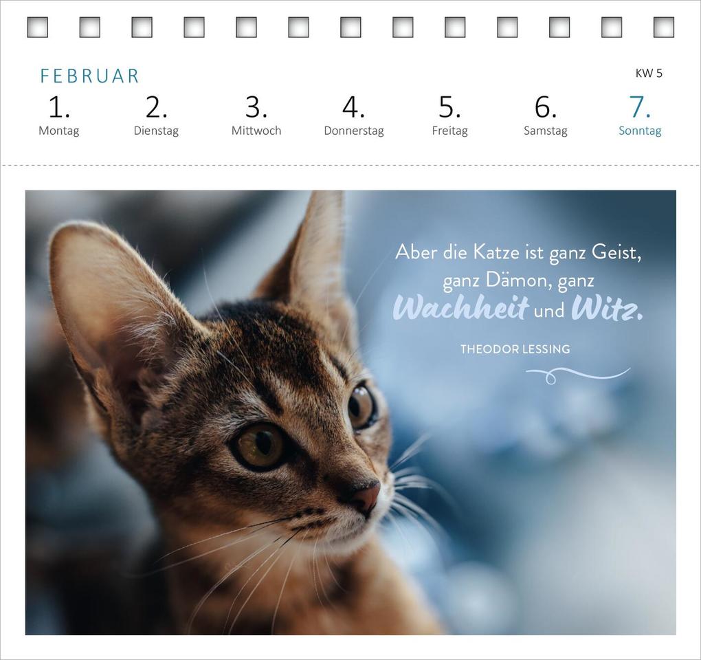 Weitere Ansicht: Postkartenkalender Katzenweisheiten 2027