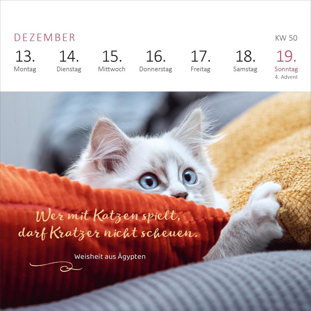 Weitere Ansicht: Mini-Wochenkalender Katzenweisheiten 2027