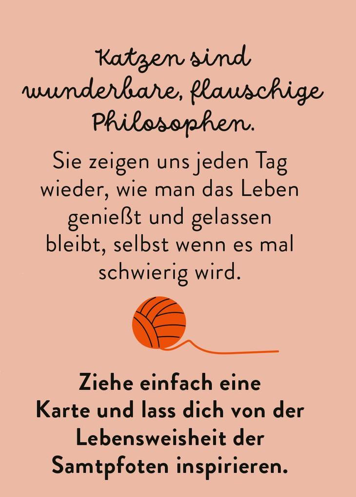 Weitere Ansicht: MIEZNachrichten für jede Lebenslage