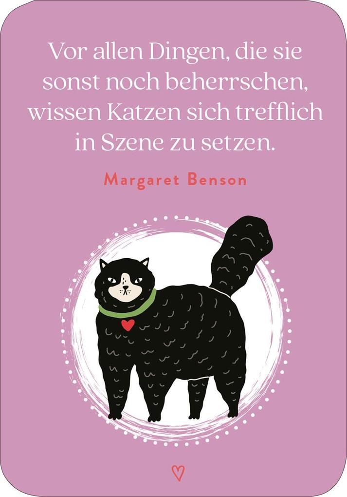 Weitere Ansicht: MIEZNachrichten für jede Lebenslage