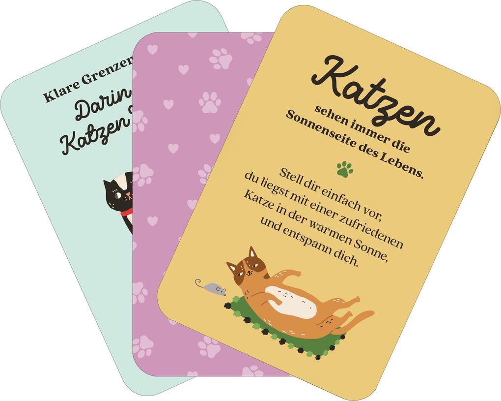 Weitere Ansicht: MIEZNachrichten für jede Lebenslage