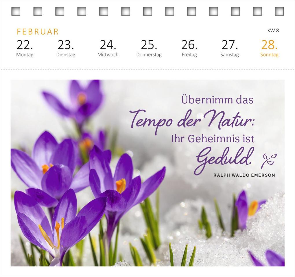 Weitere Ansicht: Postkartenkalender Gartenglück 2027