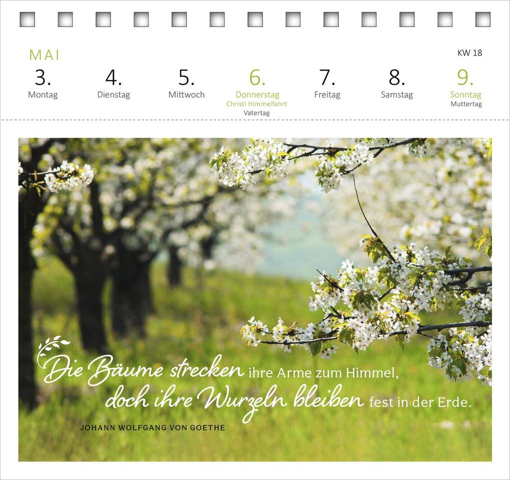 Weitere Ansicht: Postkartenkalender Gartenglück 2027