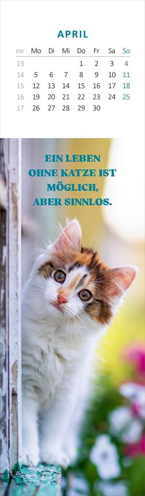 Weitere Ansicht: Lesezeichenkalender Katzenglück 2027