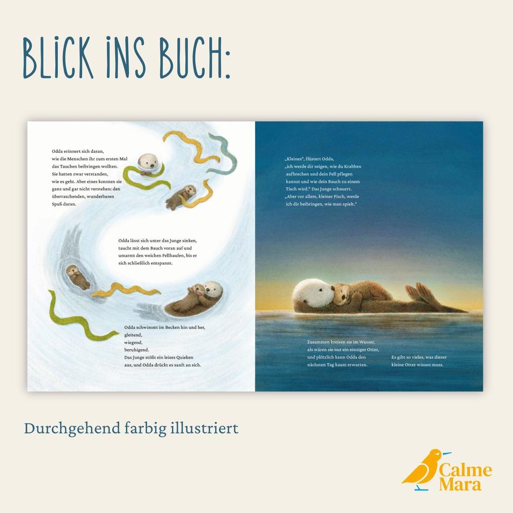 Weitere Ansicht: Odda | Katherine Applegate