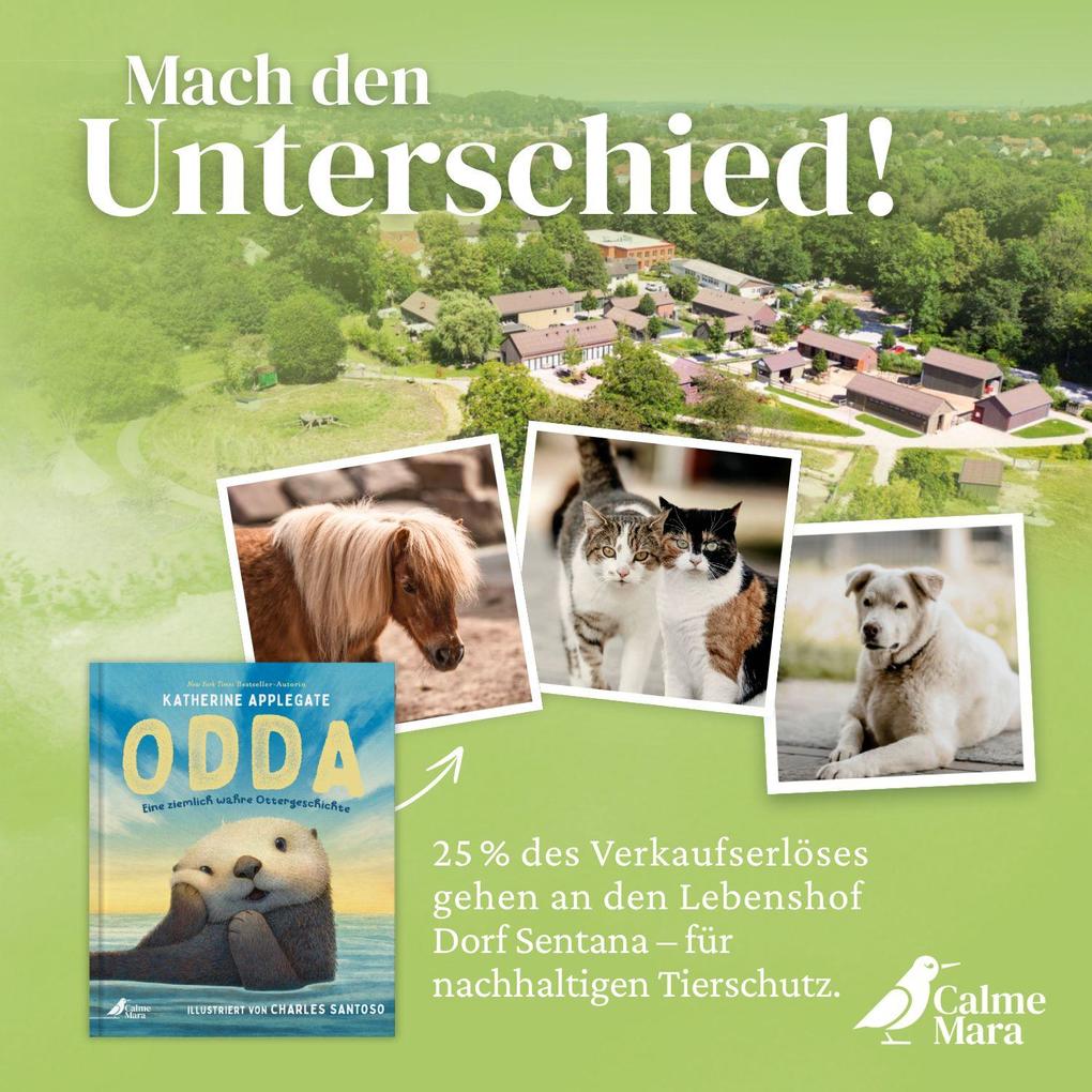 Weitere Ansicht: Odda | Katherine Applegate
