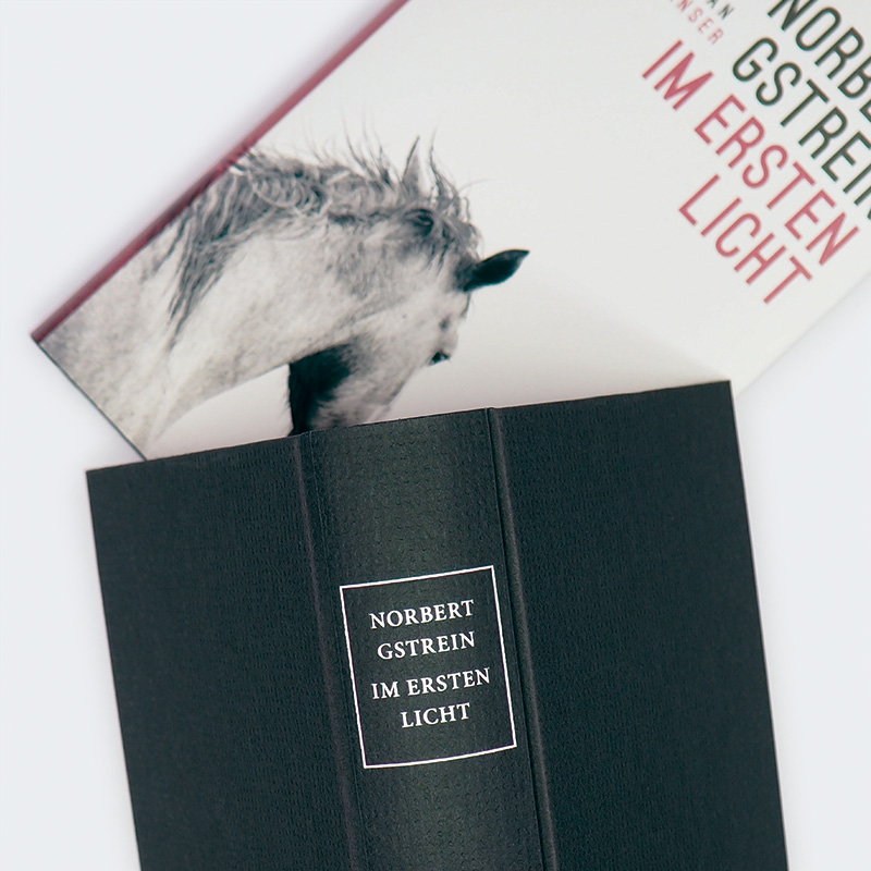 Weitere Ansicht: Im ersten Licht | Norbert Gstrein