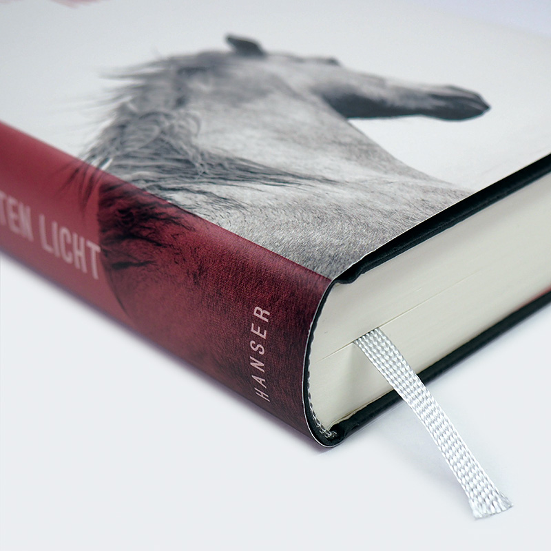 Weitere Ansicht: Im ersten Licht | Norbert Gstrein