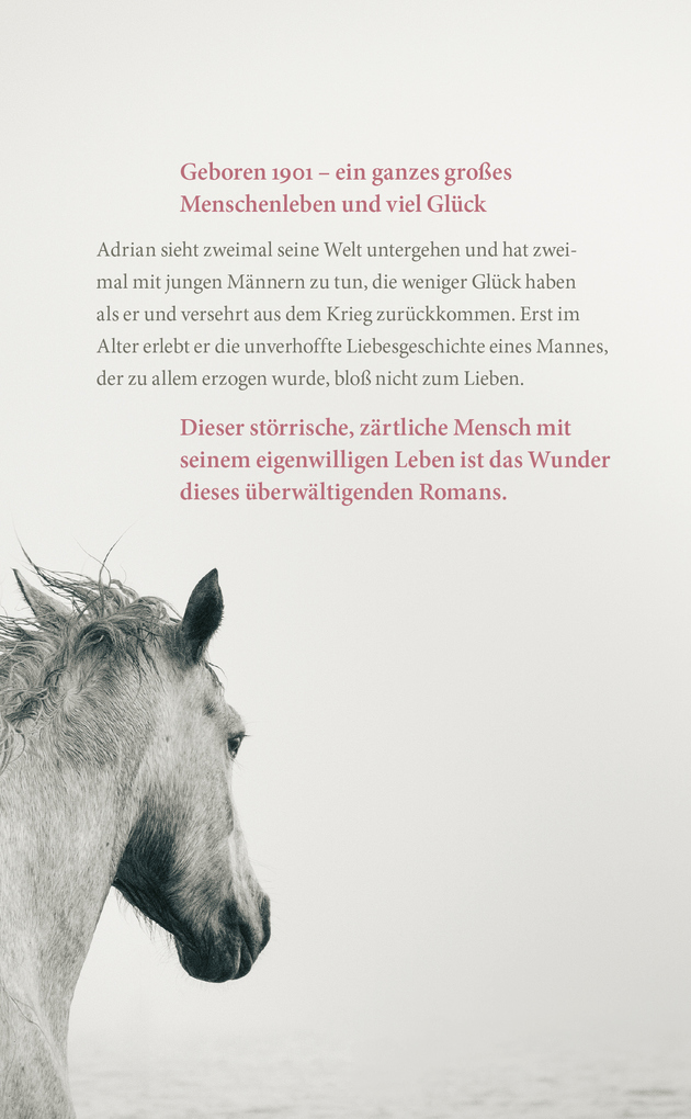 Weitere Ansicht: Im ersten Licht | Norbert Gstrein